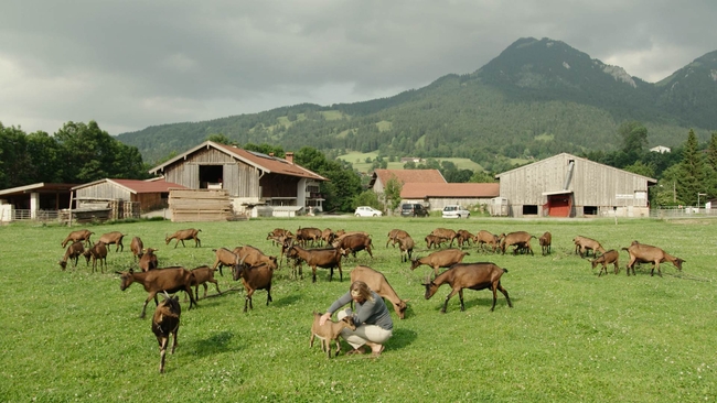 Utopia Revisited (Zeit für Utopien)