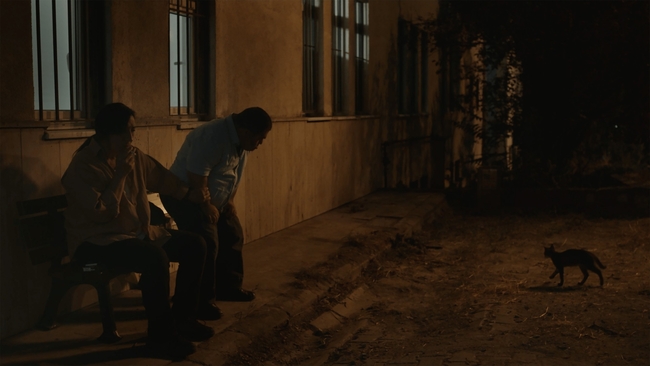 Ayse (Source: themoviedb.org)