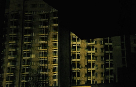 Dekalog