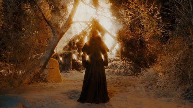 Mary Shelley's Frankenstein (Source: themoviedb.org)