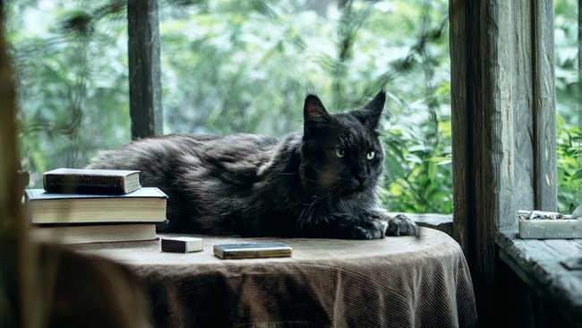 Master i Margarita (Source: themoviedb.org)