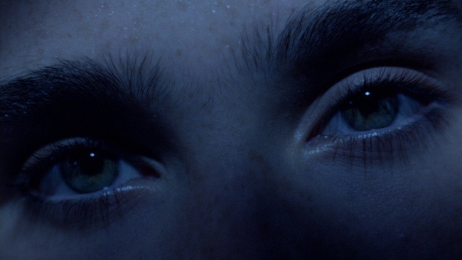 Phenomena (Source: themoviedb.org)