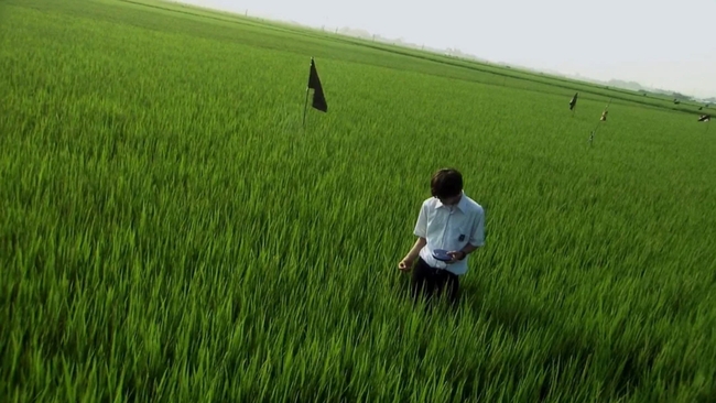 All About Lily Chou-Chou (Source: themoviedb.org)