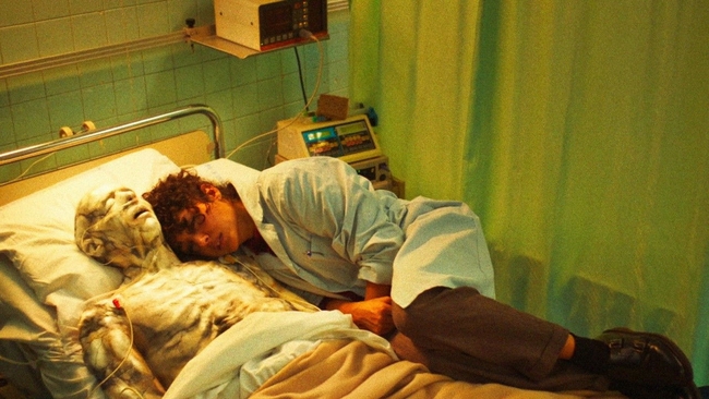 Alpha (Source: themoviedb.org)