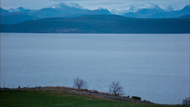 Höstsonaten (Source: themoviedb.org)