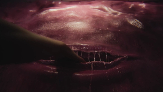 Teenage Sex and Death at Camp Miasma (Source: themoviedb.org)