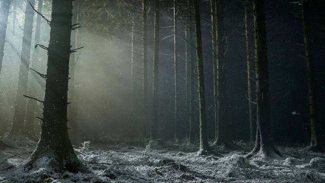 Werwulf (Source: themoviedb.org)