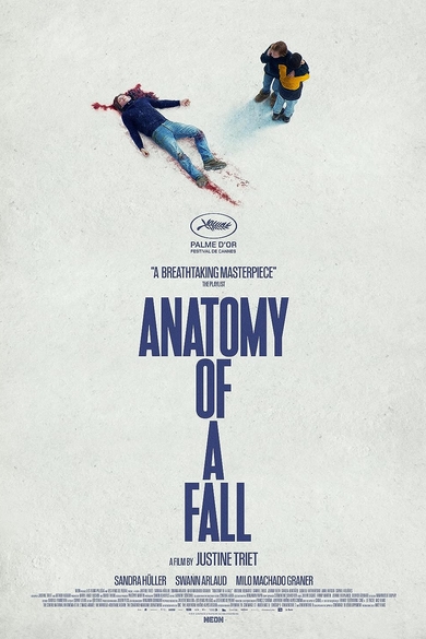 Anatomy of a Fall Poster