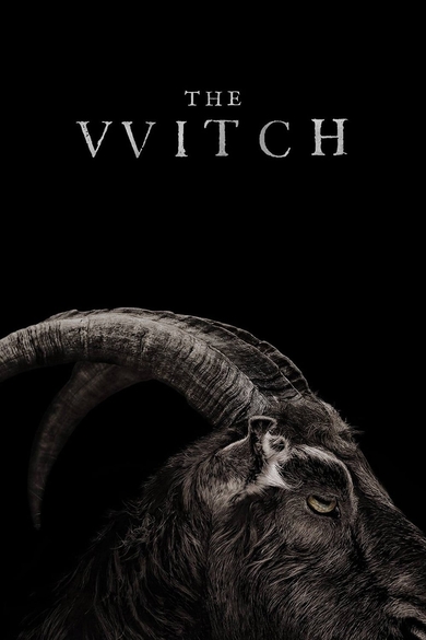 The VVitch Poster (Source: themoviedb.org)