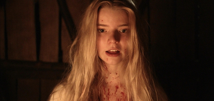 The VVitch (Source: themoviedb.org)